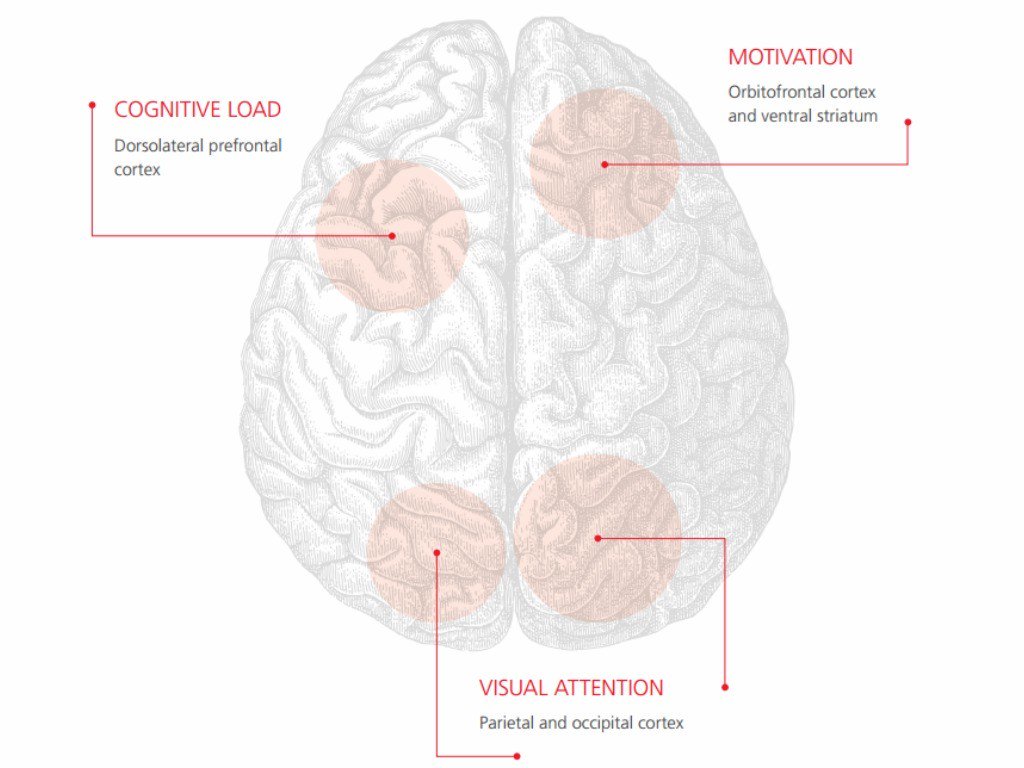 Didit__DM's tweet photo. New study validates hypothesis that #directmail is- as a channel- superior to digital media. https://t.co/J25MkLwRvQ https://t.co/xkp5vLJQbu