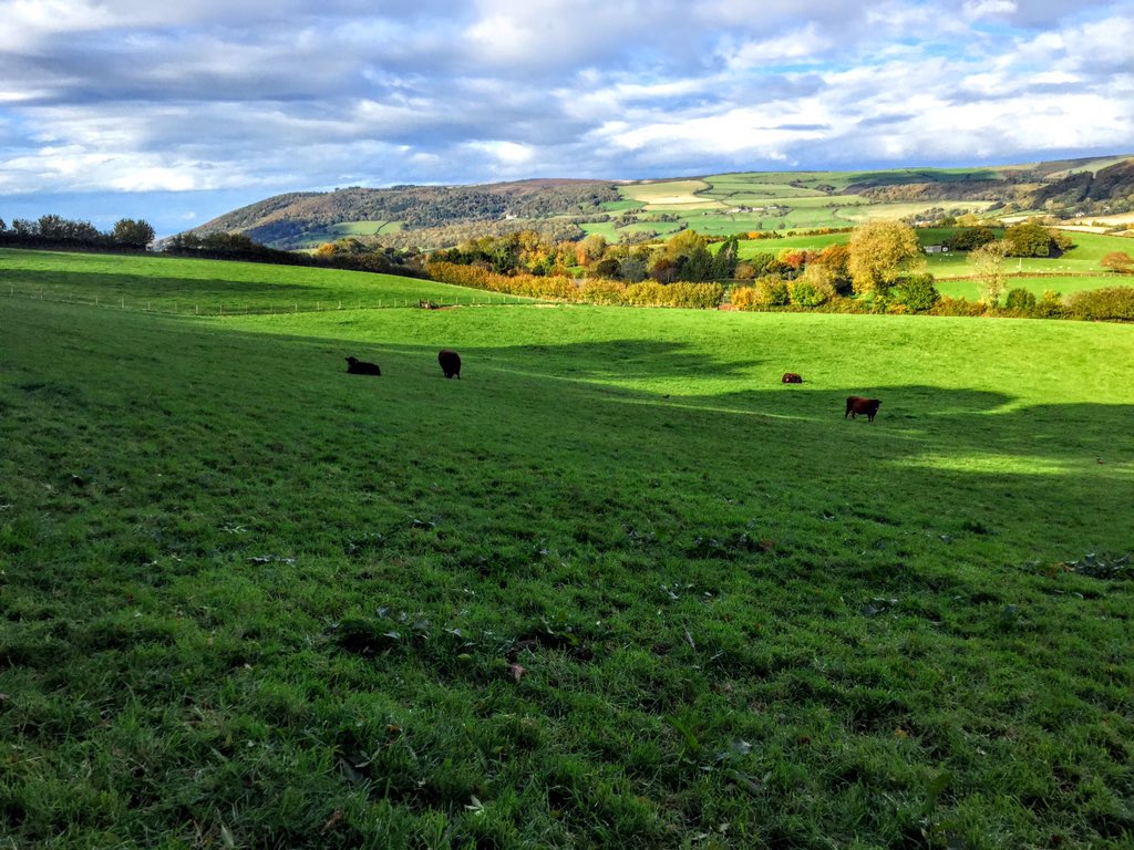PointerProps's tweet image. Instructed to sell 9.34 acres today, what a beautiful spot! #land #Exmoor #estateagents
