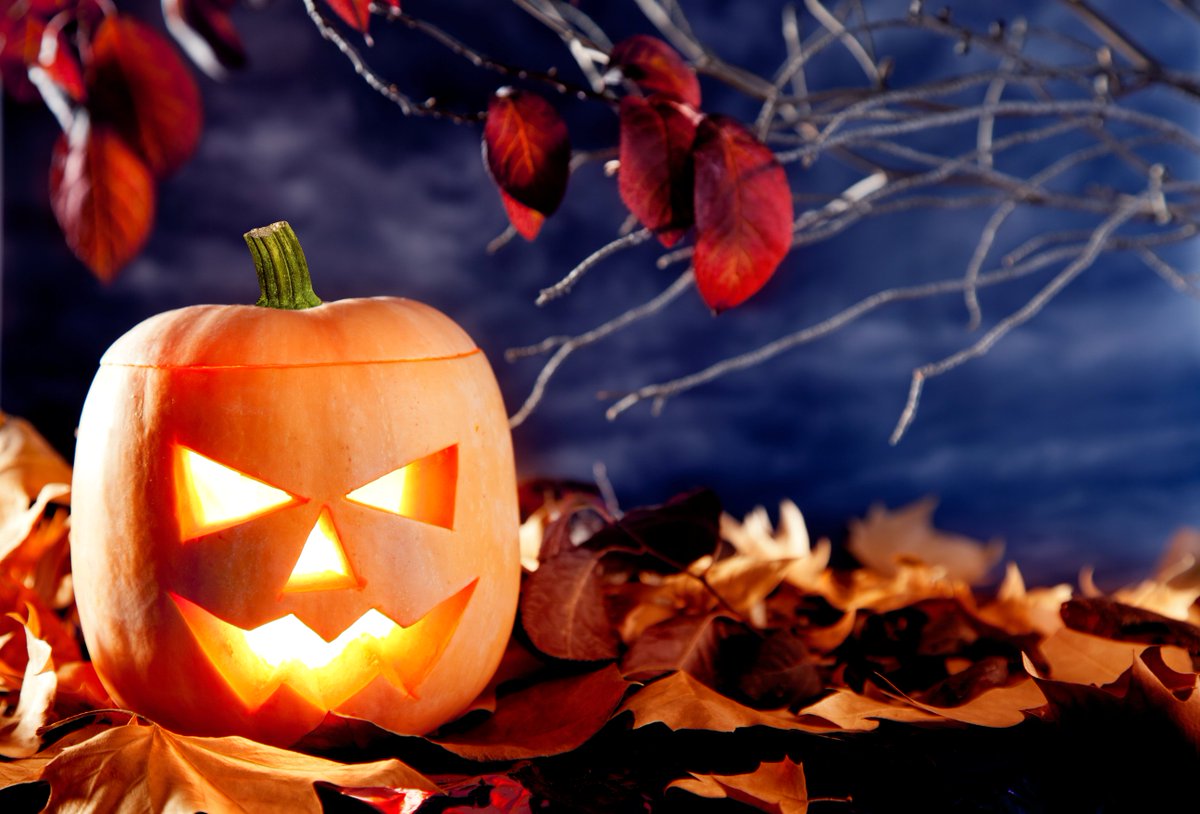 There's so much going on in #Winchester this weekend for #Halloween, #halfterm &amp; fireworks: visitwinchester.co.uk/search-whats-on