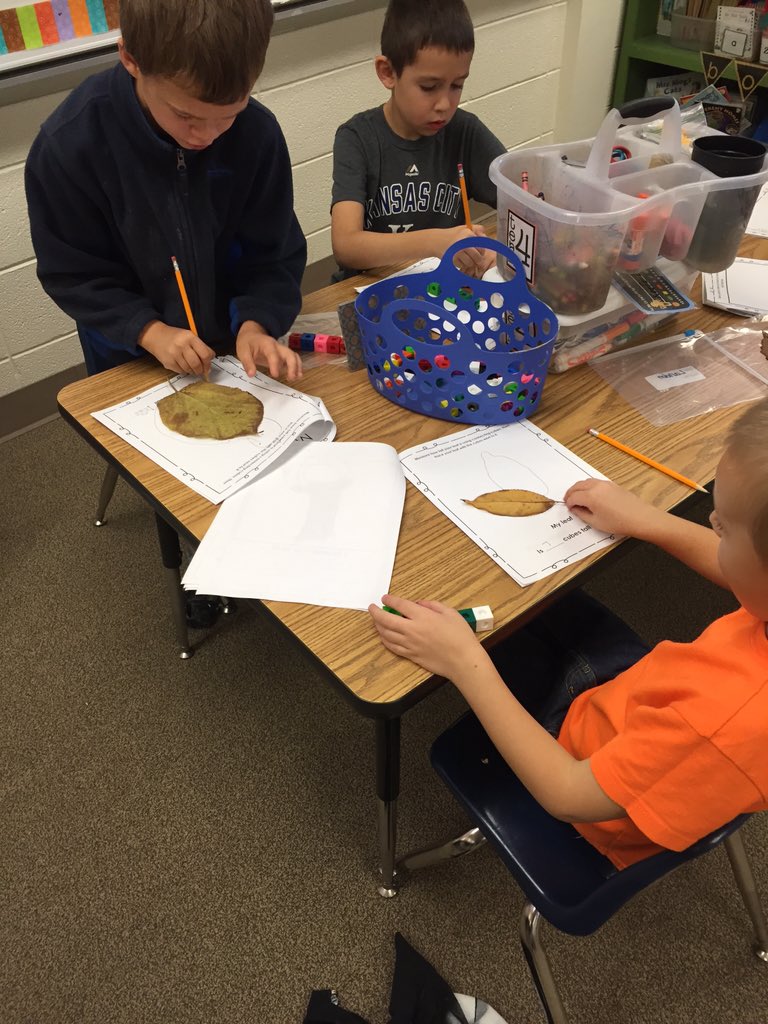 malapontia's tweet photo. 1st grade doing a leaf investigation. #ESSDExcels @LE_ESSD40 https://t.co/9gtpdAD1LM