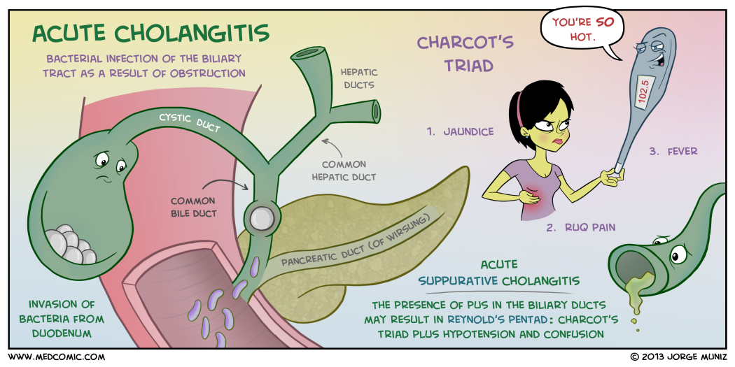MedComic's tweet photo. Acute Cholangitis
#MedEd #FOAMed https://t.co/BQEosuxCXi https://t.co/VIdnvWkFv2