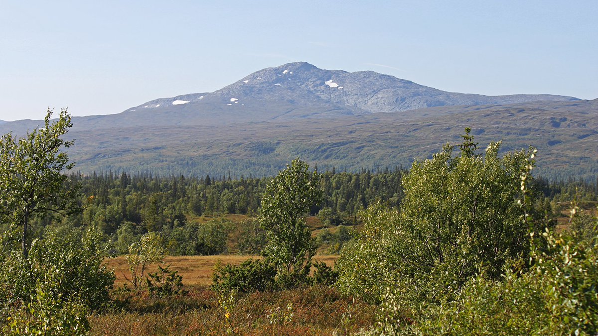 P3Nyheter's tweet photo. Här är 3 anledningar till varför du mår bättre av att vara i fjällen: https://t.co/Aq6jpqRyq1 https://t.co/RjDCjwpDKT