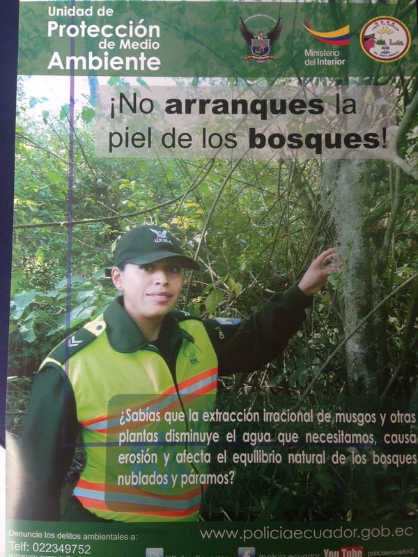 PoliciaEcuador's tweet photo. ¿TE GUSTARÍA VERTE SIN PIEL? Conoce nuestra campaña para evitar comercio de #musgo. #NoArranquesPielDelBosque. https://t.co/iapYhBTt7w