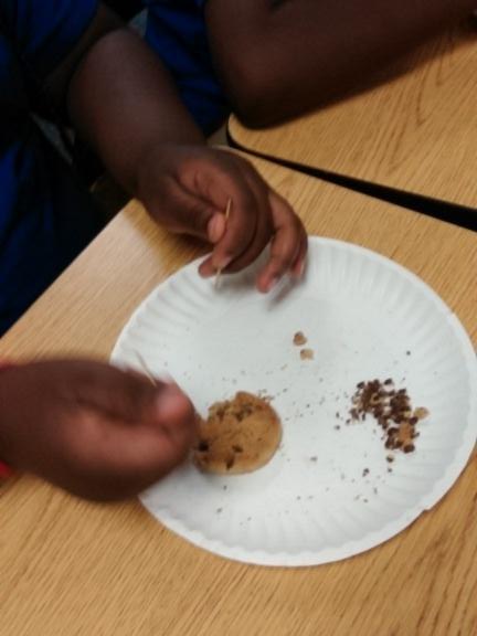 Geologists excavating minerals (chocolate chips) from the earth ( cookie).#fesengage