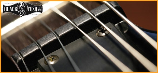 GraphTechGuitar tweet picture