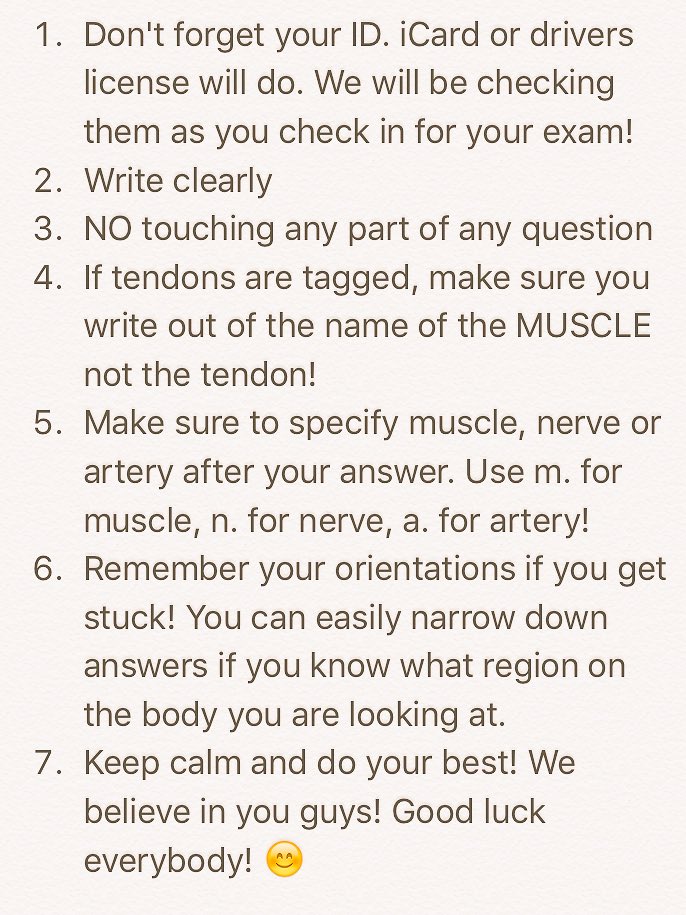 W_2PM_251LAB's tweet photo. It's exam day! Good luck everybody!! You guys have been working so hard and now it's time to own that exam! ⭐️ https://t.co/NWdxApR1Nm