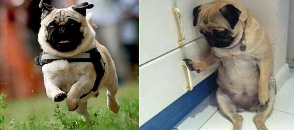 falou que ta sozinha em casa / mora no acre
