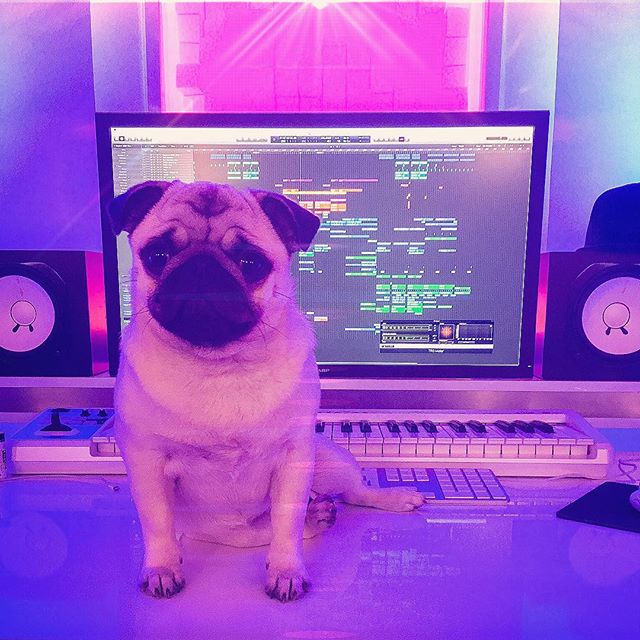 seesaawv's tweet photo. Daddy @HARDWELL finished a new song, and I love it! #studiolife #timetopawty 🎉🐶 https://t.co/qNSajlTrOd