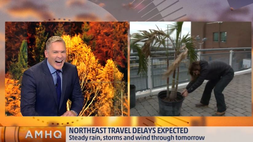 AMHQ's tweet photo. What's got @SamChampion #laughing this hard? WATCH > https://t.co/11zIoyaz8i #SaveThePalmTrees https://t.co/OM6WSXzAhH