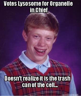 blastoftheplast's tweet photo. #organellewars https://t.co/cr5uh3Bi41