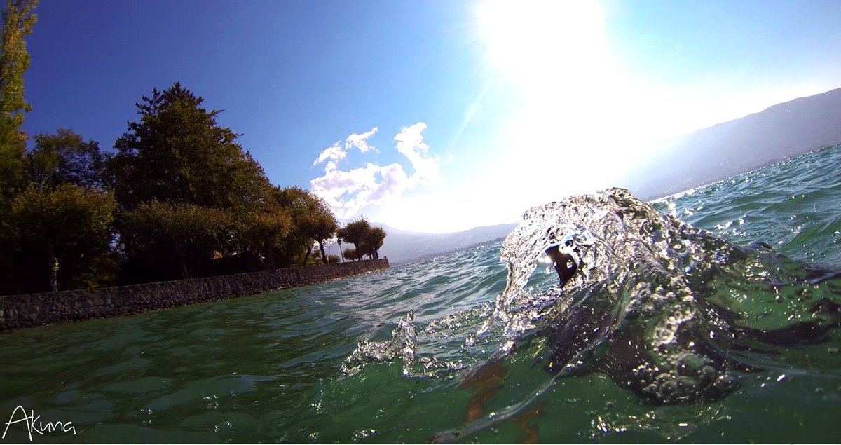 SwimrunFrance's tweet image. Sur les bords automnal du @Lac_Annecy , nous courons, nous nageons, nous buvons les tourbillons de l'air