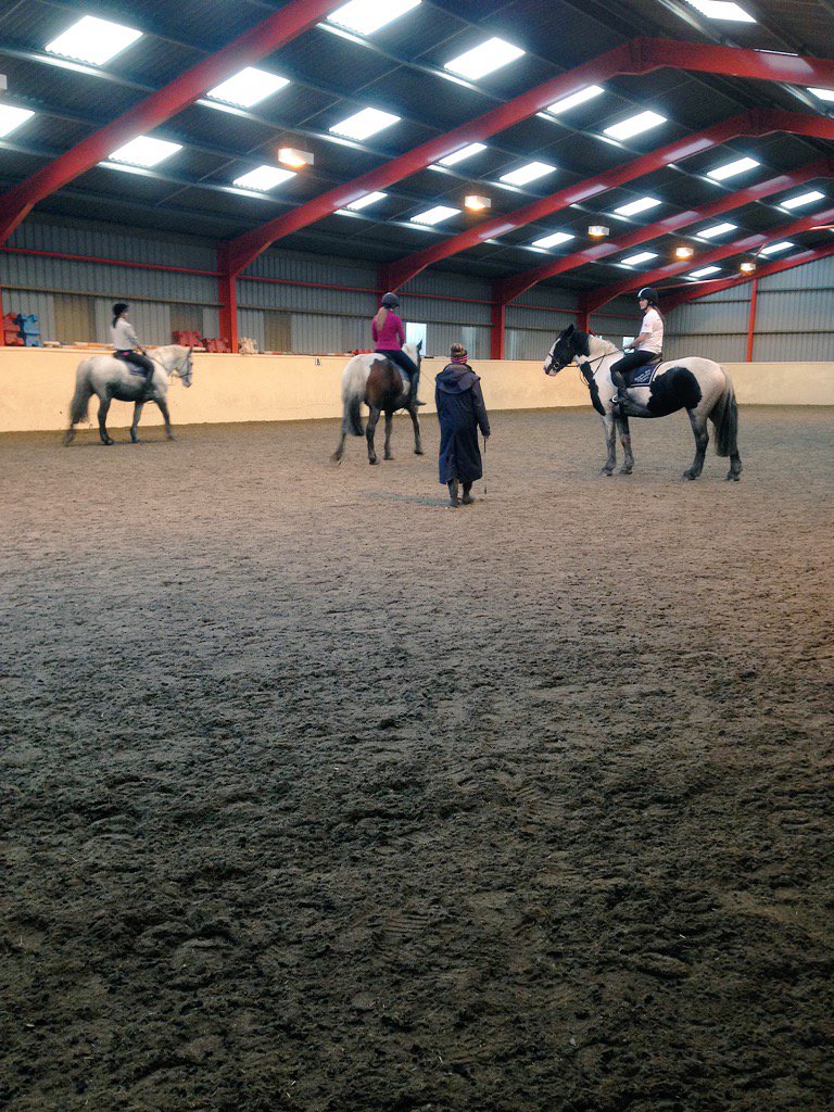 SHUEquestrian's tweet image. First team training today🐎