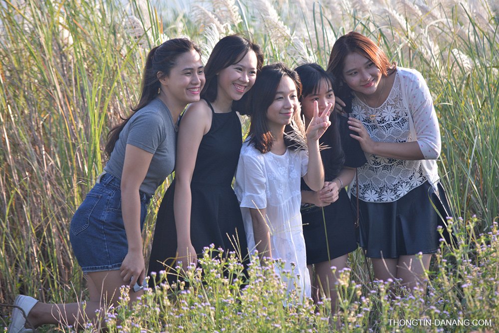 danangbreaking's tweet photo. Cỏ lau, mùa của những bầu trời mộng mơ https://t.co/6e2GFjEDuR #colau #danang #destination #nature #hangout #teens https://t.co/9VaYAPmInI