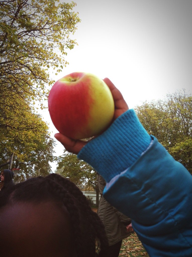 VrolijkheidDH's tweet image. Voetballen, concentratie op de slackline, appeltje voor de dorst #Smaak #Breezand #rozig #vluchtelingen @vrolijkheid