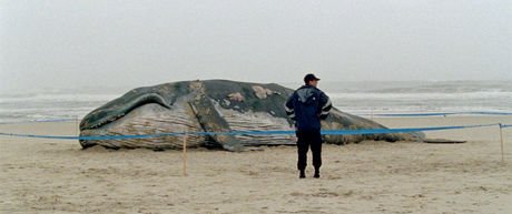 Viennale's tweet photo. #V15 Filmtipp: AS MIL E UMA NOITES – VOLUME1, O INQUIETO, #Gartenbaukino Do, 29. Okt - 15:00 https://t.co/XvmsXtTCQw https://t.co/Hc25lyCe5h