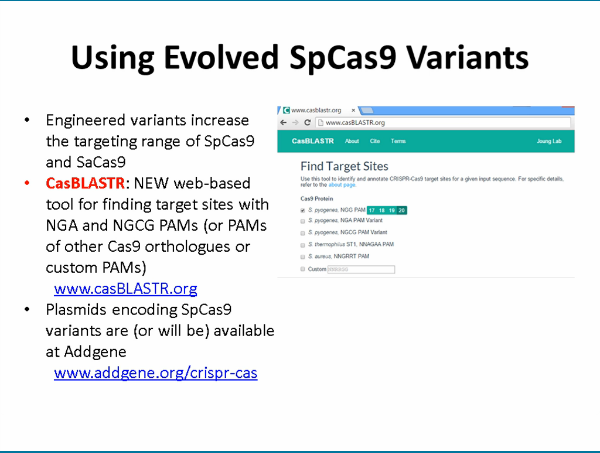 CellSymposia's tweet image. Keith Joung @MassGeneral discussing their NEW CasBLASTR.org tool: cell.com/webinars
#CRISPRtools