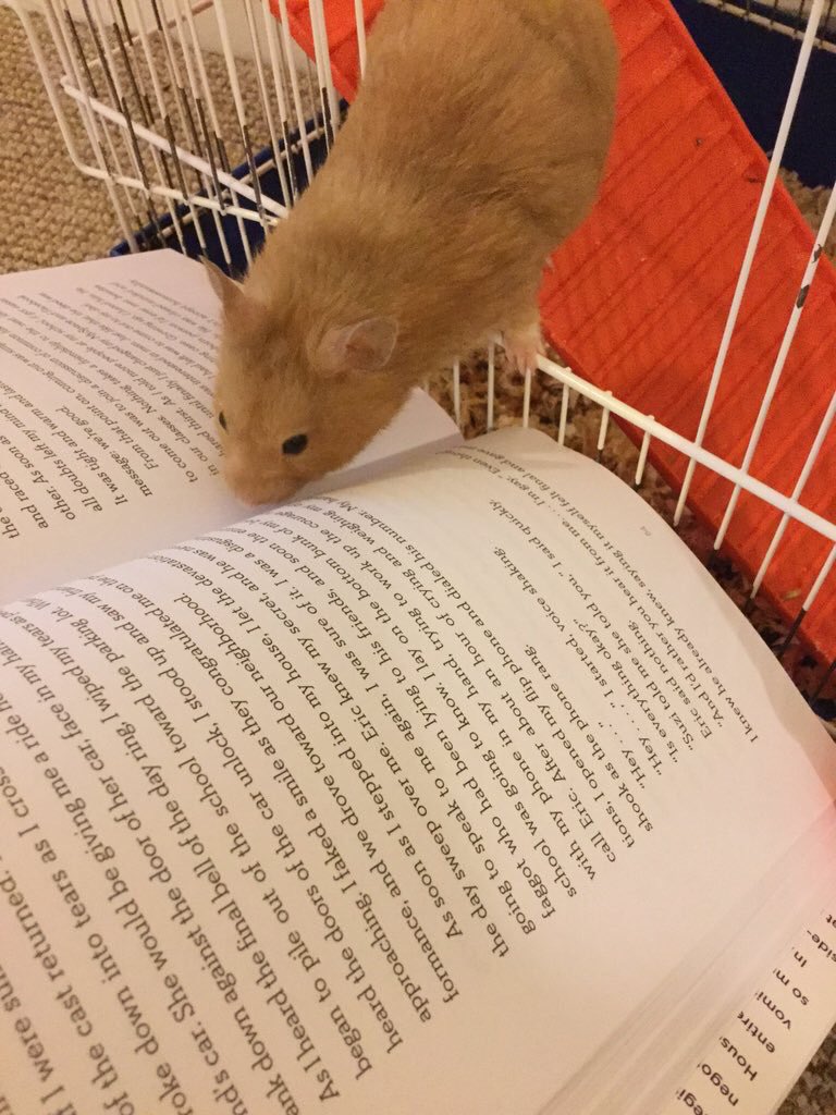 geminibaran's tweet photo. @tyleroakley #PetsReadingBinge he stayed still this is a sign he likes you https://t.co/2h97W16nCk