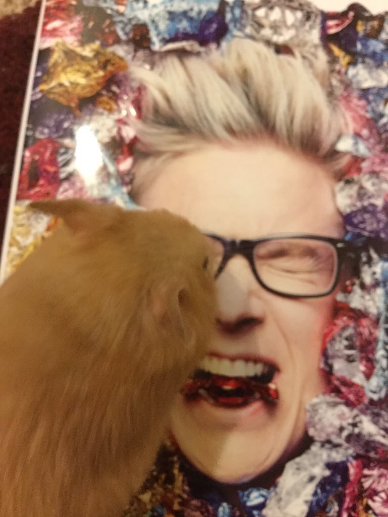 geminibaran's tweet photo. @tyleroakley #PetsReadingBinge he stayed still this is a sign he likes you https://t.co/2h97W16nCk