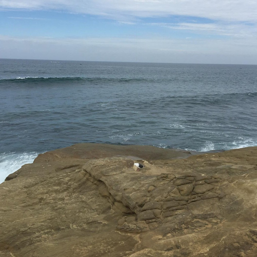 WebDevDea's tweet image. 