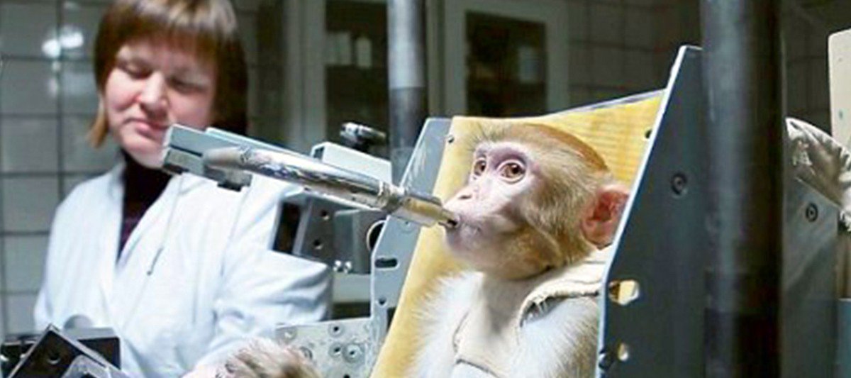 LaSagaOficial's tweet photo. #Ciencia Científicos están entrenando monos para un viaje futuro a Marte: https://t.co/neajvMmZIP @Adela_Micha https://t.co/isJK007U2N