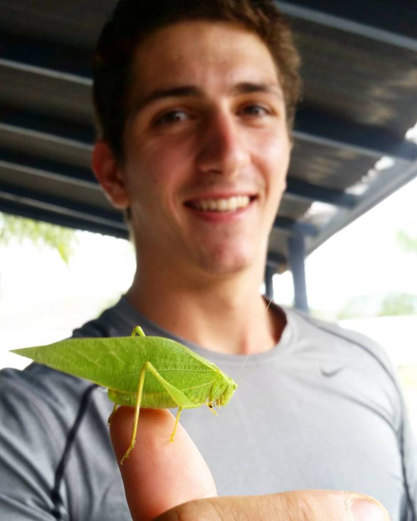 SkydiveSD's tweet photo. Drop zone creatures 🐊🍃 #leafybug #dropzonepet #greenthings #greenfriends #greeneverything #skydivesandiego by _.lin… https://t.co/4WddEd46V8