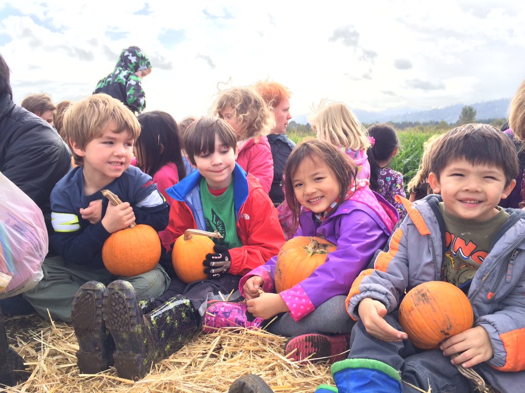 LewisRoom20's tweet photo. We had so much fun at the farm on Monday! https://t.co/EnMGpf12QK