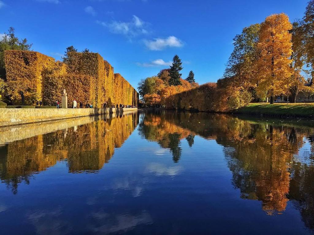 djmon1que's tweet photo. #gdansk #igerspoland #nature2000 #mobilnytydzien52 #landscape_captures #prestige_pics_ #il… https://t.co/g5xkzXga7e https://t.co/XdEXbxe5Dp