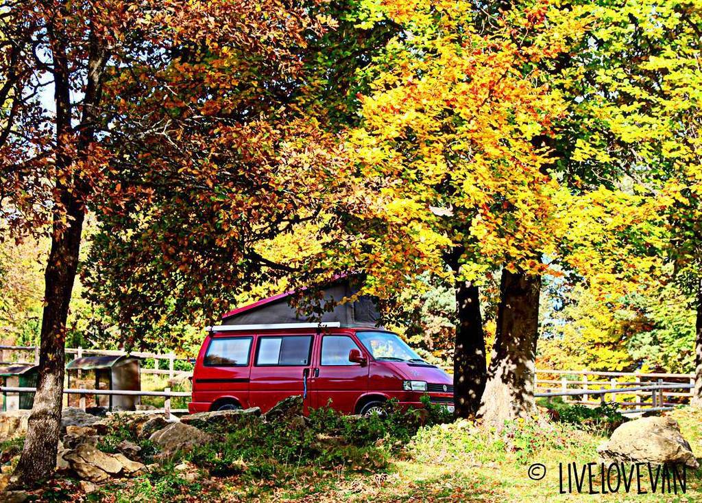 Insta_VWT's tweet photo. https://t.co/bpAATXhych - Autumn van 🍃🍂 #autumn #vanlifediaries #vanlife #vanandlife #vwv… https://t.co/zRYtDBzkYO https://t.co/00worNtKi2