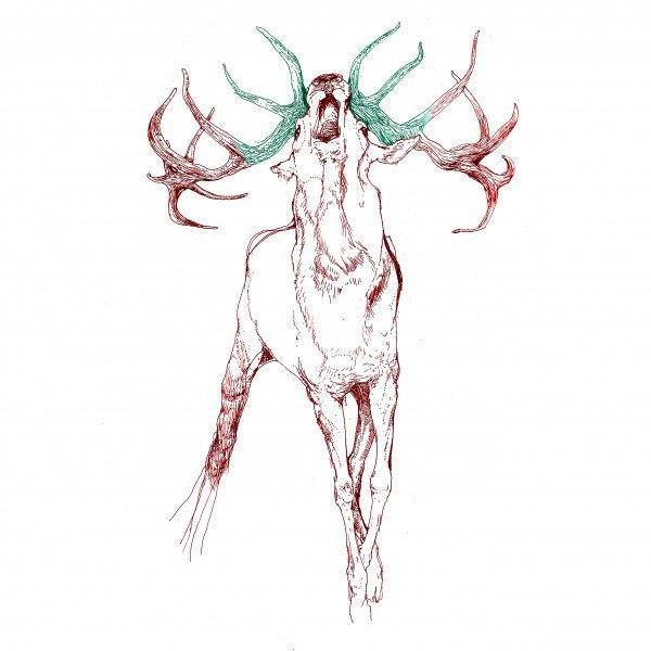 iphonewallco's tweet photo. A gorgeous #wallpaper called 'Red Deer' - download it free https://t.co/DZP5SZmU0A #iphone #ipad #rt https://t.co/59dgU3Vs90
