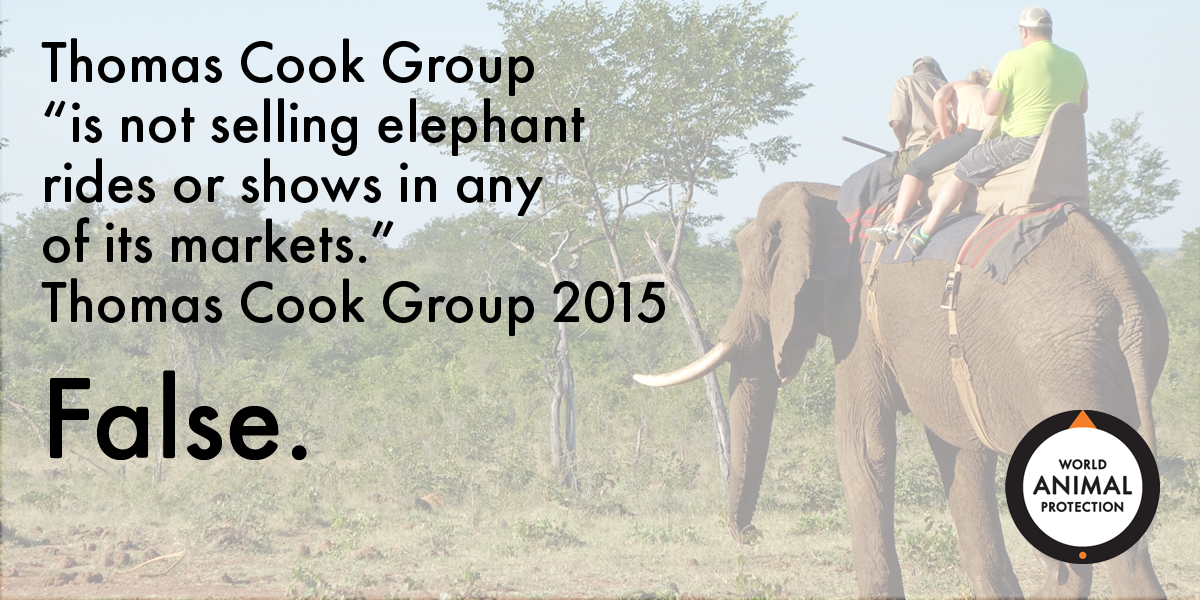 World Animal Protection tweet media