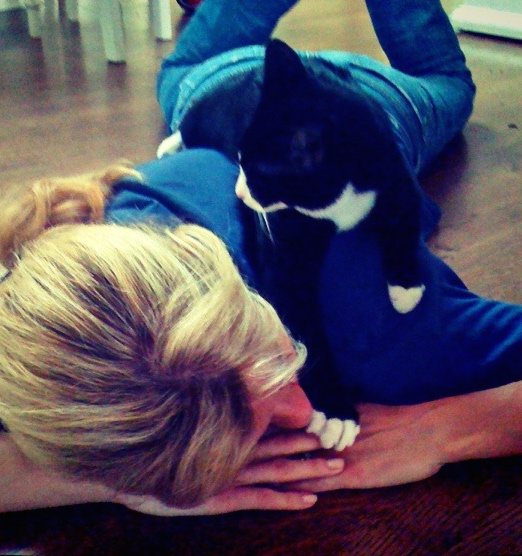 PurinaCatChow's tweet photo. Every day is #NATIONALILOVEYOUDAY when you have a cat. https://t.co/zABFSIqS8d