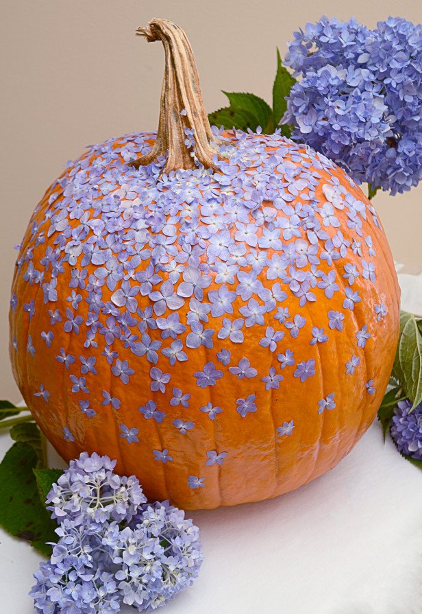 hgtv's tweet photo. Craft a petal-covered pumpkin that can take you through Thanksgiving. >> https://t.co/N7WwwMwf7c https://t.co/MXI7XzZze5