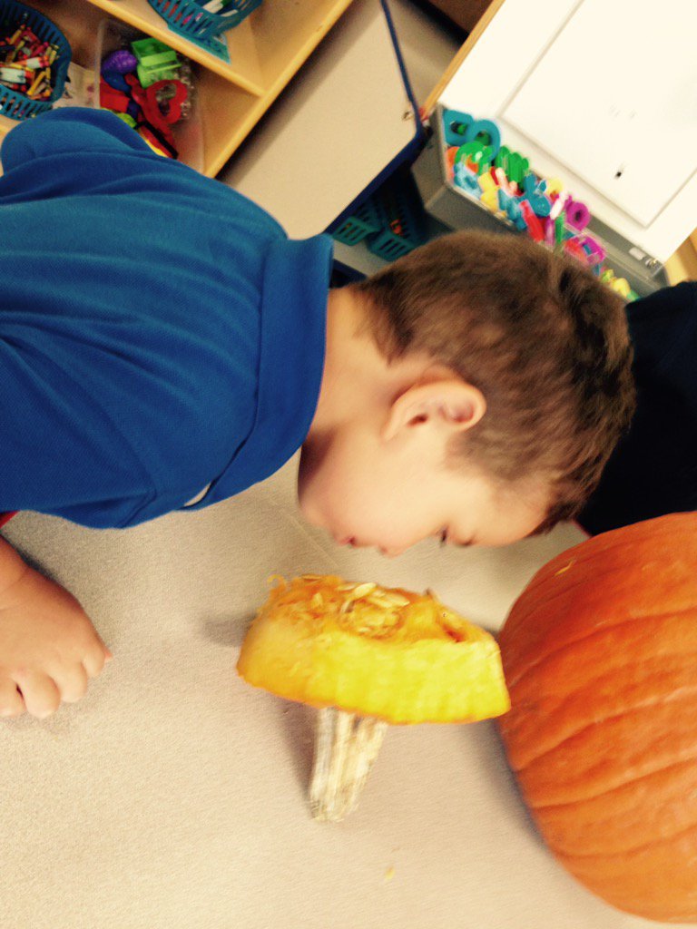 myexceptionalpk's tweet photo. Exploring the inside of our #pumpkin in #prek today... Lots of "oooohs" and "aaaahhhhs". @reduk8r1 😝🎃 @hiddenoaksES https://t.co/TBbM75FA1c