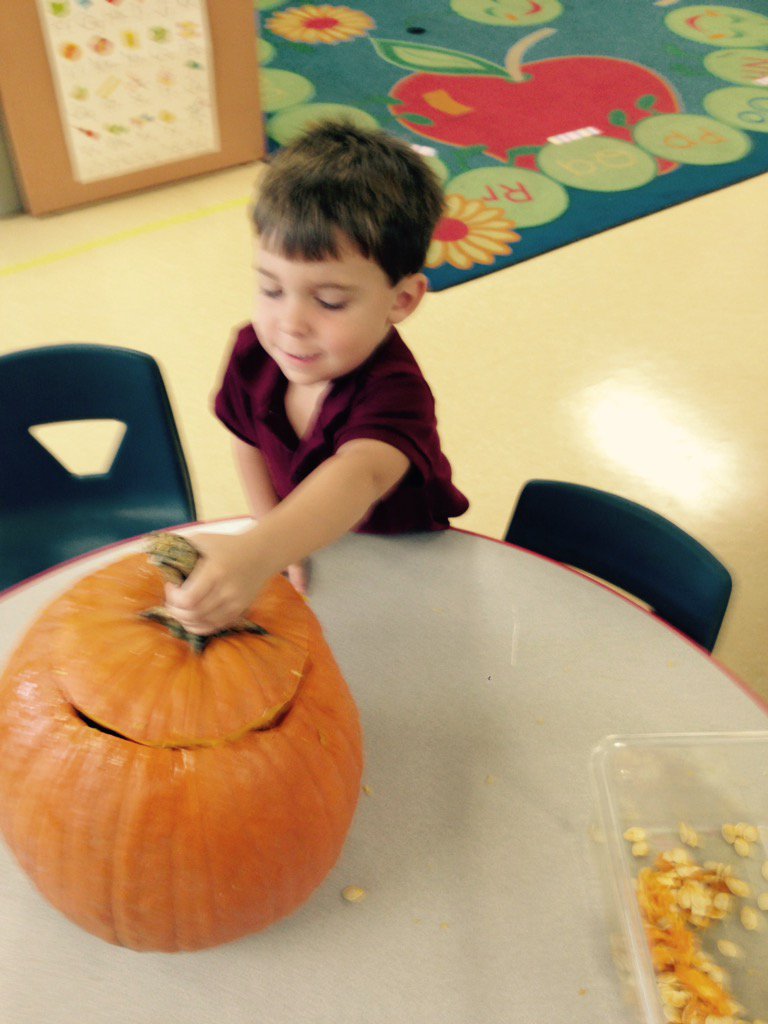 myexceptionalpk's tweet photo. Exploring the inside of our #pumpkin in #prek today... Lots of "oooohs" and "aaaahhhhs". @reduk8r1 😝🎃 @hiddenoaksES https://t.co/TBbM75FA1c