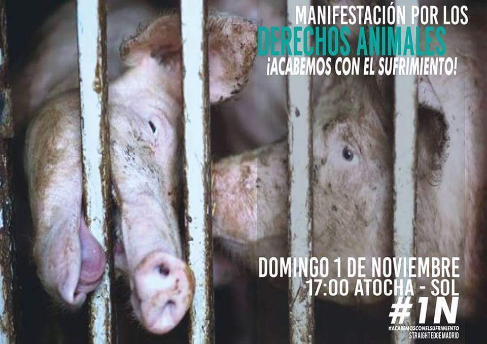 STRAIGHTEDGEMAD's tweet photo. Manifestación #1N por los derechos animales. ATOCHA - SOL | 17:00

Abogada de turno: Beatriz Monasterio Chicharro https://t.co/yk0CSwqoTq