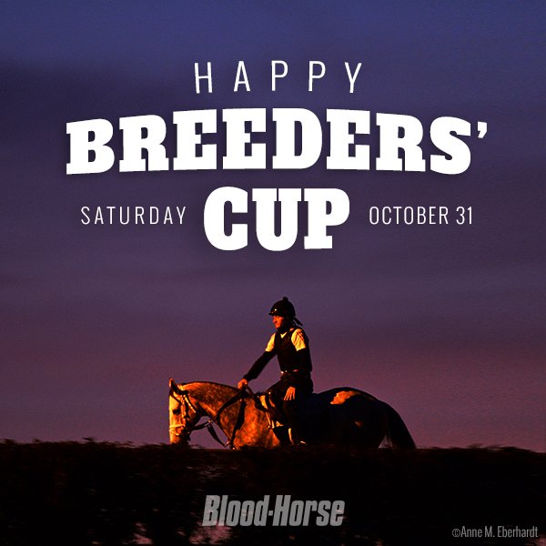 BloodHorse's tweet photo. Happy Breeders' Cup Saturday! https://t.co/VmmubyVlZt