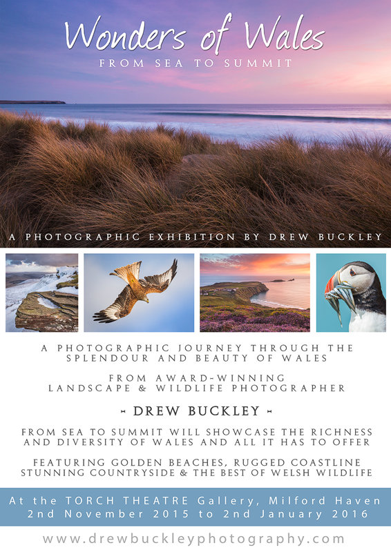 Hi all, 2 month exhibition of my work at <a href="/TorchTheatre/">Torch Theatre 🎭🎬☕️</a> Milford Haven starts next week! Come visit and RT! Thx #pembs