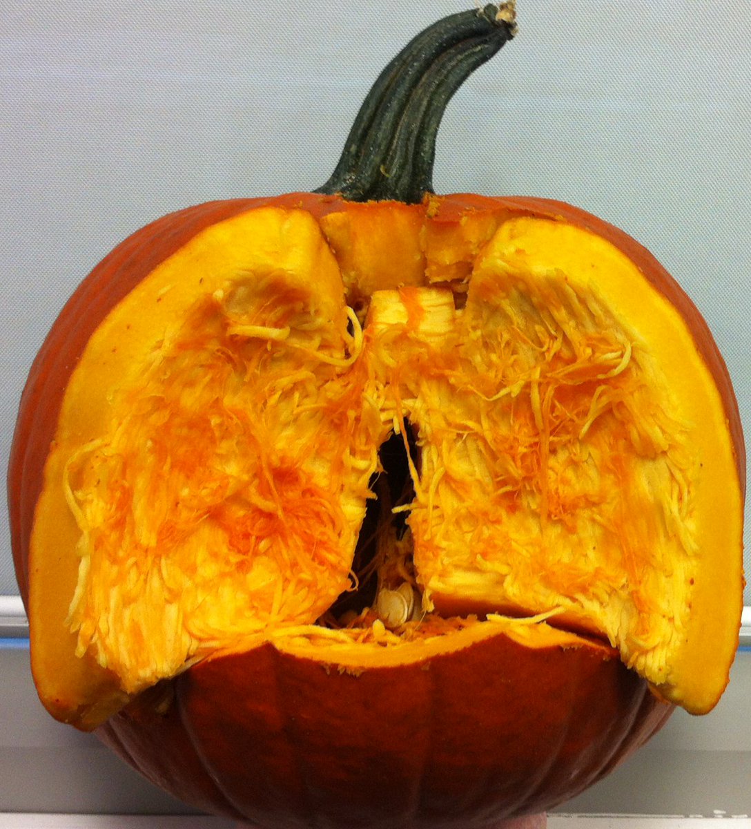 LungHealthFdn's tweet photo. So this is what happens when a Respiratory Therapist gets a hold of a pumpkin, a lung-o-lantern #Halloween #rtweek https://t.co/e5Tck3QYdL