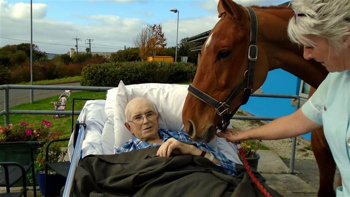 TODAYshow's tweet image. Dying man granted final wish to say goodbye to his favorite horse on.today.com/1P5oWjn