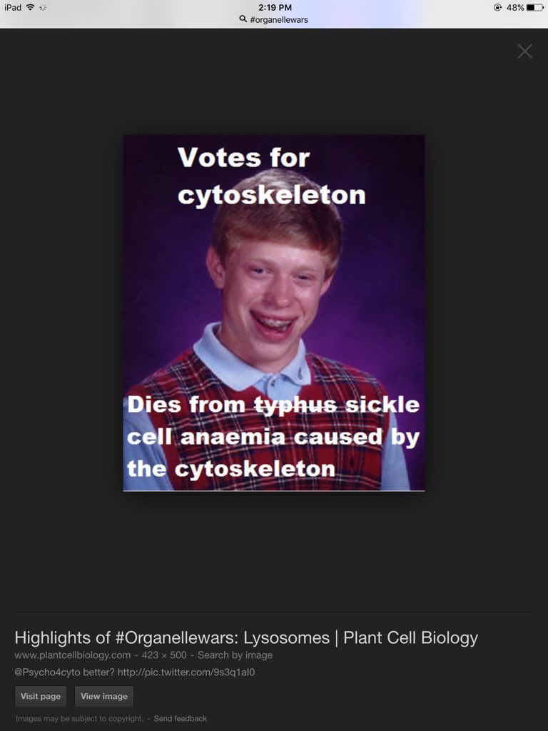 blastoftheplast's tweet photo. #organellewars https://t.co/KLMKp6V6QS
