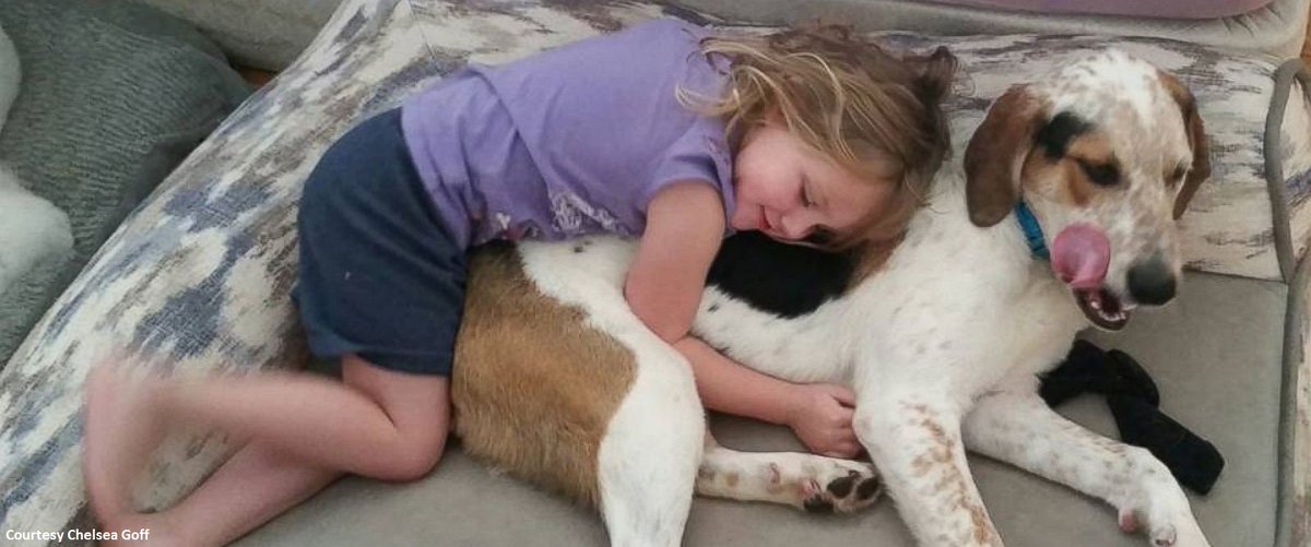 ABC's tweet image. 4-year-old and her dog communicate via sign language: "They have their own secret language." abcn.ws/1jRGd4t