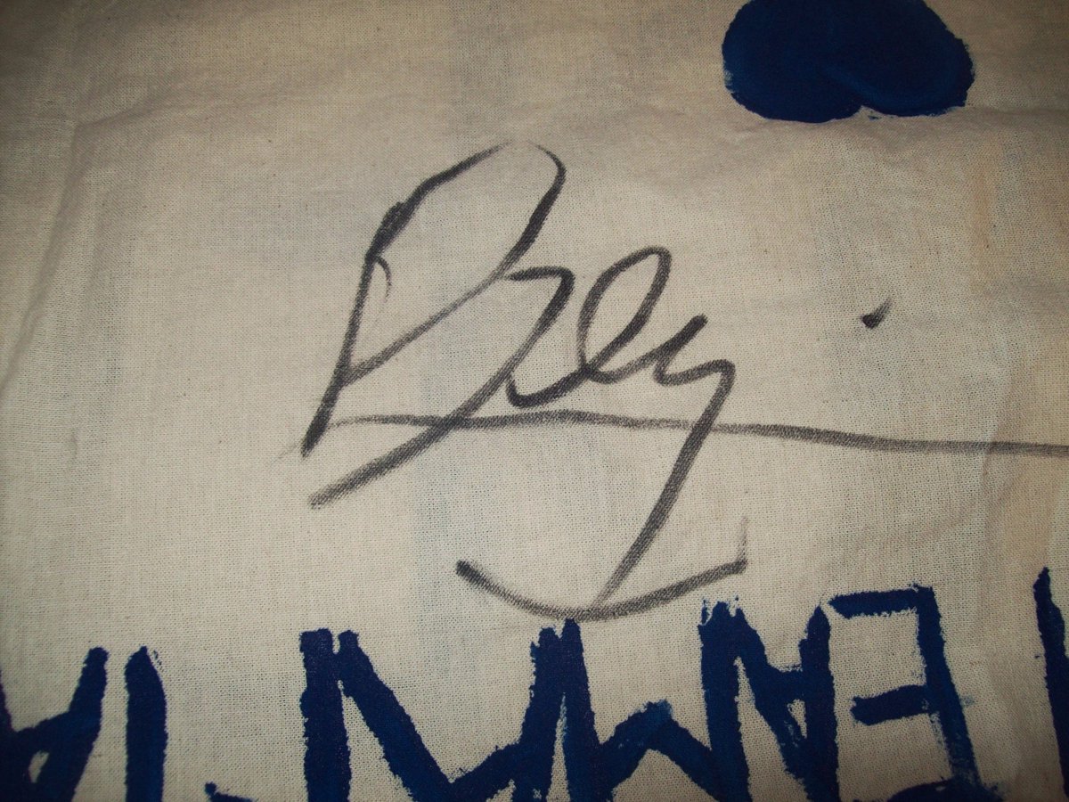 AMADEISTAS's tweet image. #BANDERA #AMADEISTAS #FIRMADA