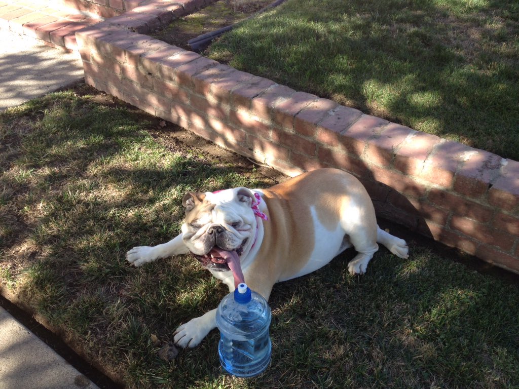 SavannahSidecar's tweet photo. out for a walk with my mom #lovemywalks #momnmetime #timetorest https://t.co/I4ZQjydYCN