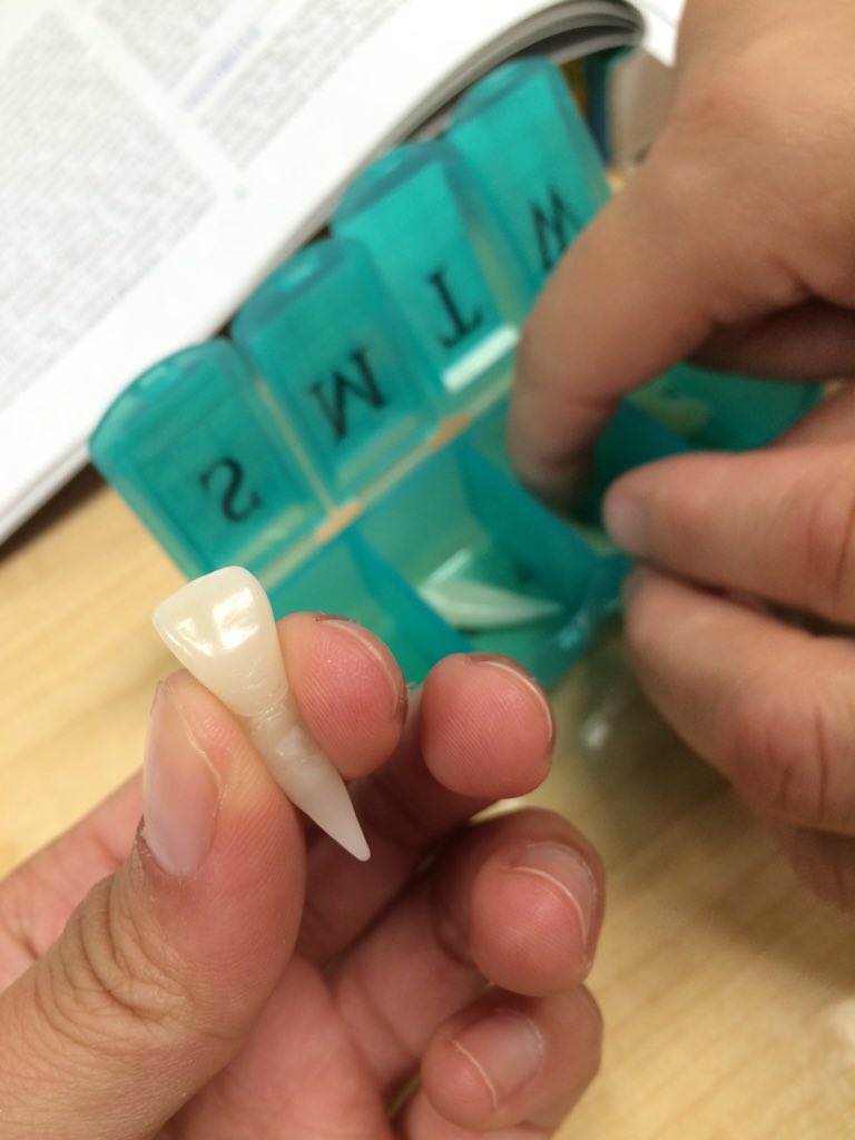 aaamytrann's tweet photo. Why carve pumpkins when you can carve teeth 😛😷🎃 #saveapumpkin https://t.co/5weFMTfj0k
