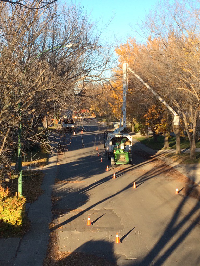 Happydude31's tweet photo. More #trees than I want to tackle this month. 500 down 1578 to go. #YQR #sawyerstreeservices #elmpruning https://t.co/cGP7Kj74X2