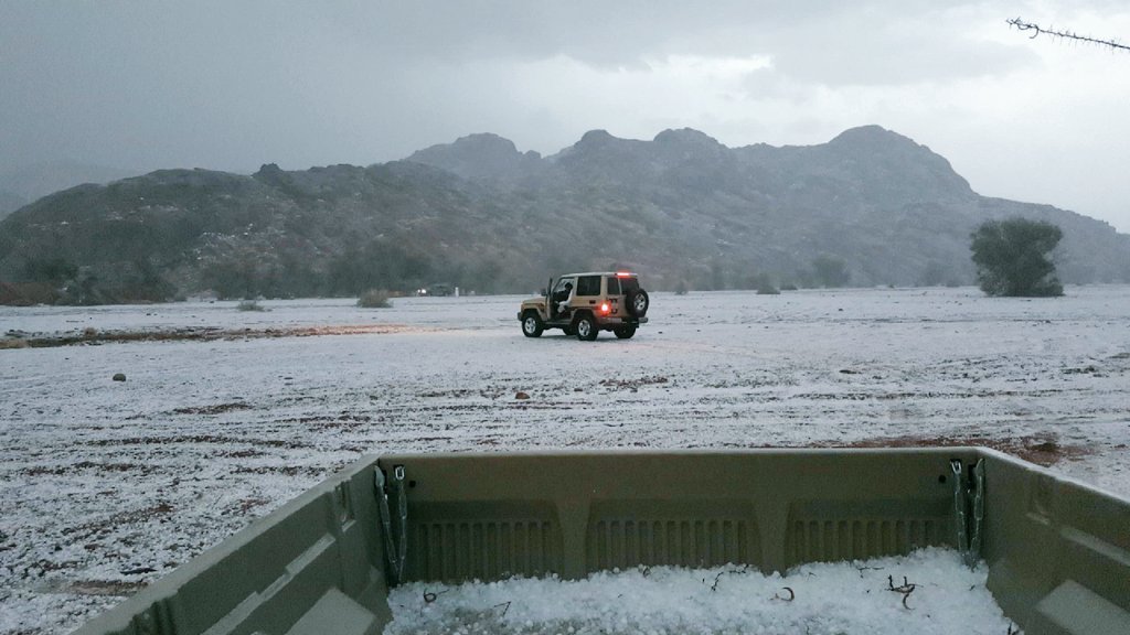 ����� ���� �������