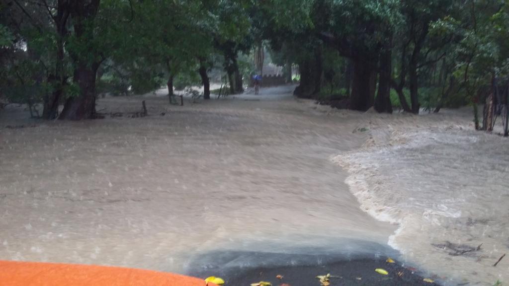 Coclealdia's tweet photo. Calle frente al Seminario Cristo Sembrador en Penonomé, inundada https://t.co/Esph0ojpLD