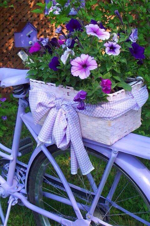 22Shatry's tweet photo. "السعادة هي أن تجد شخص يشبه روح�� كثيراً ..! ❤ https://t.co/AaBXfhr8T0