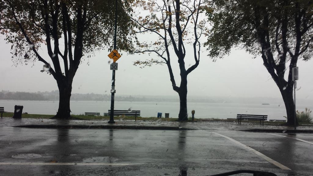dropthatbeet's tweet photo. Just another rainy day in Vancouver #englishbay #forgotmyumbrella #fall #PSLtime https://t.co/WzR51ZHbBB