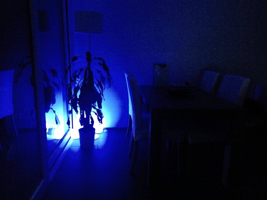 raffaelethomann's tweet photo. 7color's for 7day's #solarlamp #LuciAura @MPOWERDInc https://t.co/gQcdgsKgmS